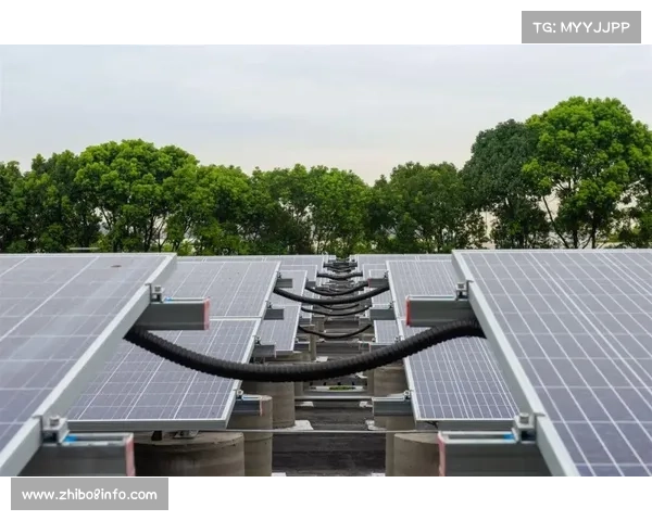 勇士新球场获环保认证，太阳能供电成亮点